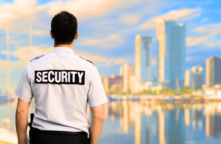 VLDG Security Agency Guard Philippines Laguna